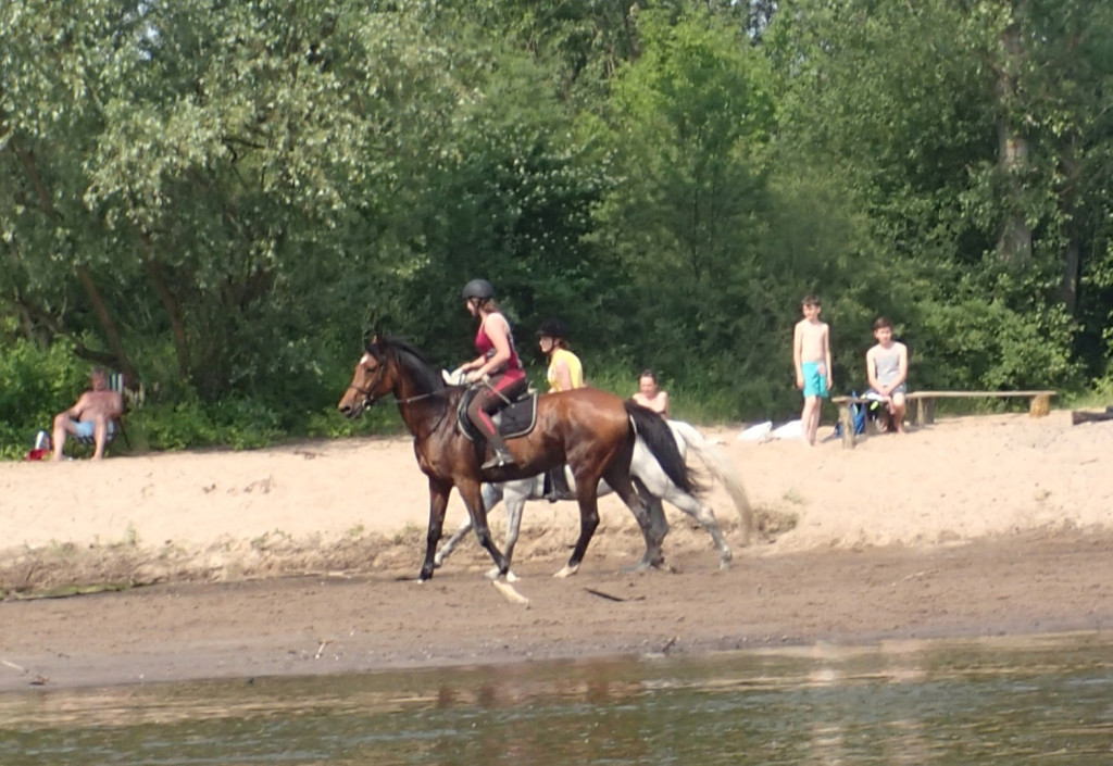 Ujeżdżanie koni na plaży.